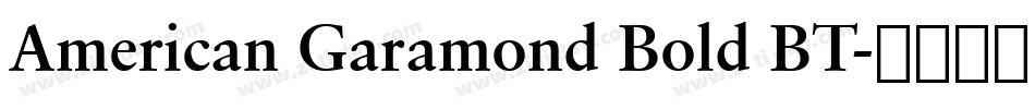 American Garamond Bold BT字体转换